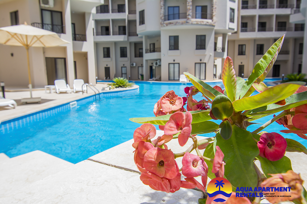 Aqua Apartment Rentals UK Based Property Rentals And Sales In Hurghada Egypt Rent Apartments In Hurghada Buy Apartments In Hurghada